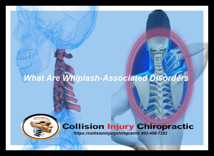 Graphic stating What Are Whiplash-Associated Disorders 