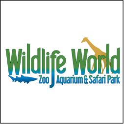 Wildlife Zoo 